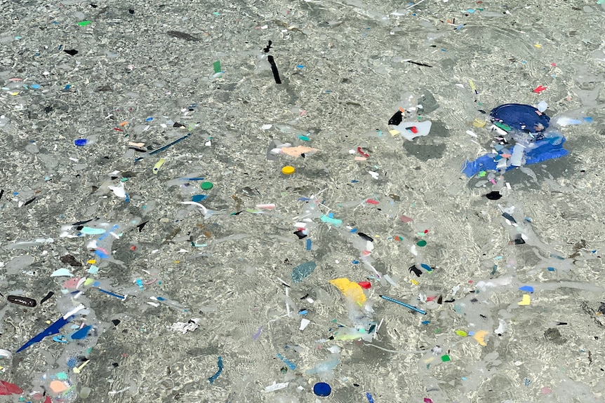 An photo taken directly looking down at clear water with pieces of plastic floating in it.