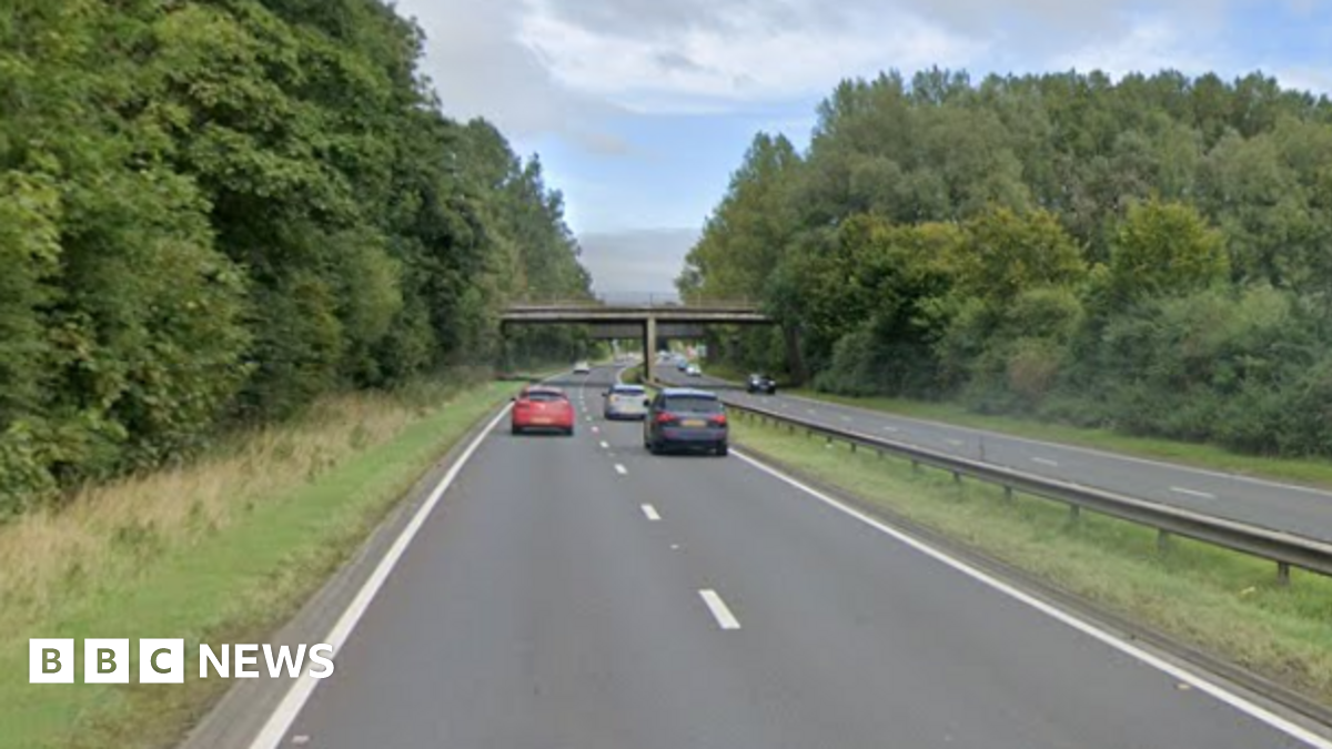 A stretch of motorway, including a bridge