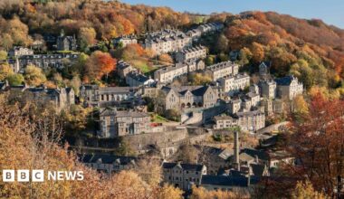 A picture of houses built in a valley surrounded by trees