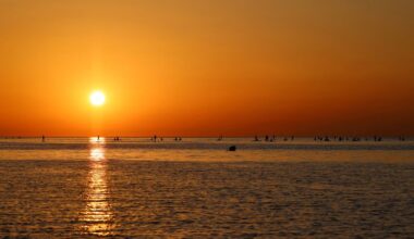 2025 was the world's third-warmest year on record, EU scientists say