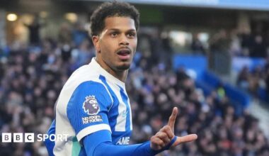 Brighton & Hove Albion 2-0 Burnley: Seagulls end six-match winless run to move up to eighth place