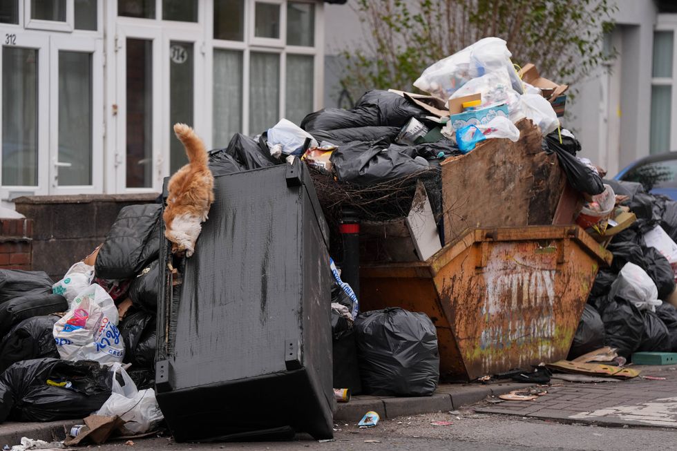 Birmingham bin strike leaves rubbish piling up