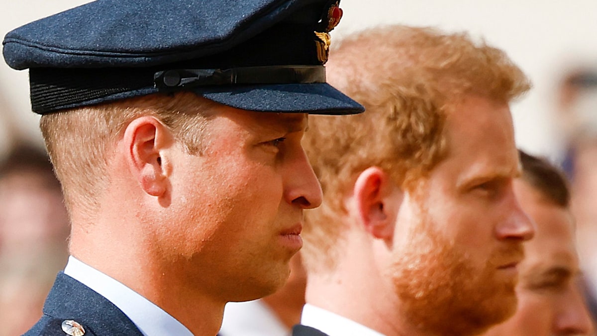 Prince William and Prince Harry are 'worlds apart' with lack of UK reunion: 'There is no trust between the brothers'