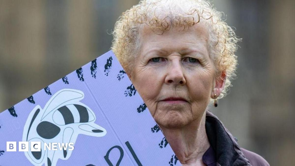 Angela Madden, who chairs Women Against State Pension Inequality (Waspi), with a sign showing a bee.