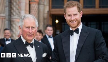 Prince Harry not planning to meet King on next trip to the UK