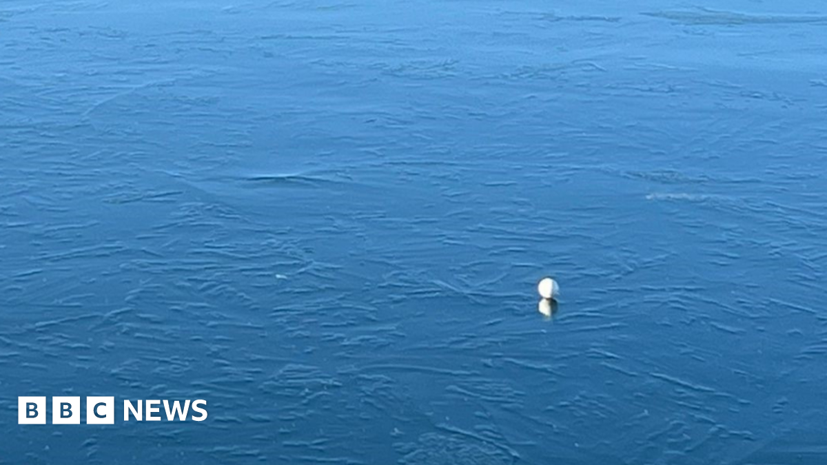 A solitary golf ball resting on frozen water in front of the green with trees in the far distance