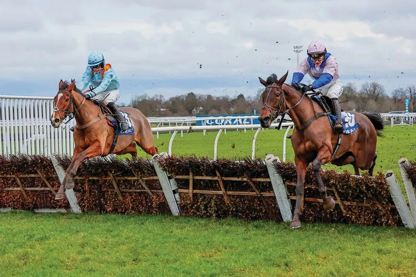 Download app from the App Store