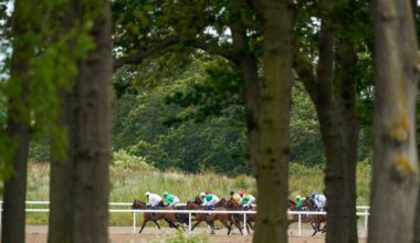 Horse Racing Tips Today | 15 January 2026
