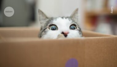 quantum physicists create largest ever ‘superposition’