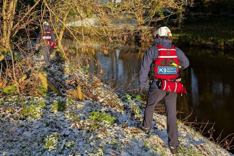 K9 Search and Rescue team members looking for Mr Stewart