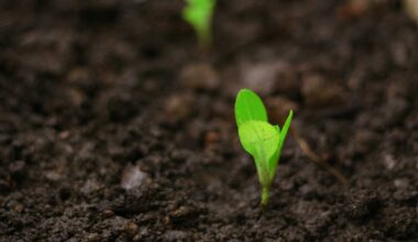 UK Manufacturing PMI: Industry shows further signs of recovery in December