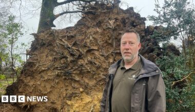 Gary Long stands in front of a huge root ball of a tree which has fallen. He looks serious. He has short brown and grey hair and a grey beard. He is wearing a Trewithen-branded top under a wax jacket.