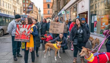 Peaceful protest to take place in Glasgow demanding end to hunting with dogs in Spain
