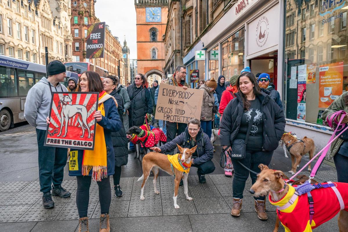 Peaceful protest to take place in Glasgow demanding end to hunting with dogs in Spain