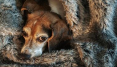 Keep on top of your energy bills in 2026