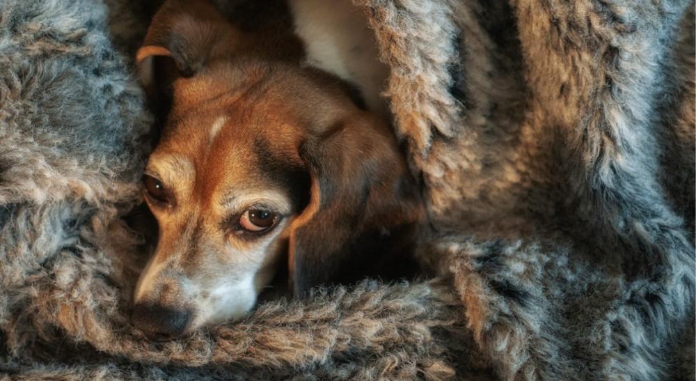 Keep on top of your energy bills in 2026