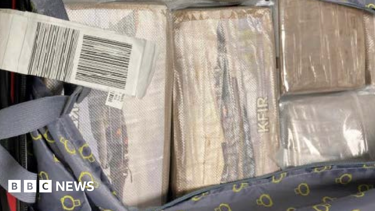 Several rectangular white blocks of cocaine inside a grey bag. Each block is wrapped in clear plastic over brown packaging.