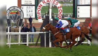 Bookies icon and branding