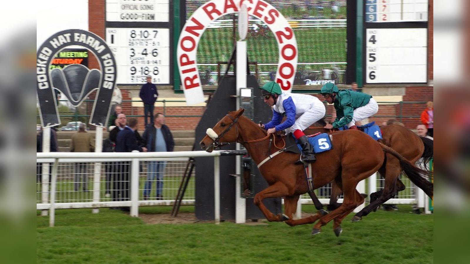 Bookies icon and branding