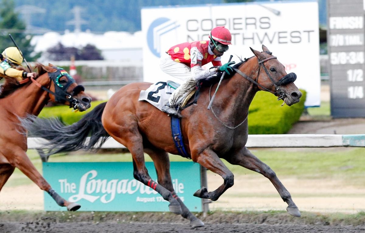 Another victory for Surprsinglyperfect (Kevin Krigger), this time at Emerald Downs. Photo: Emerald Downs / Reed Palmer