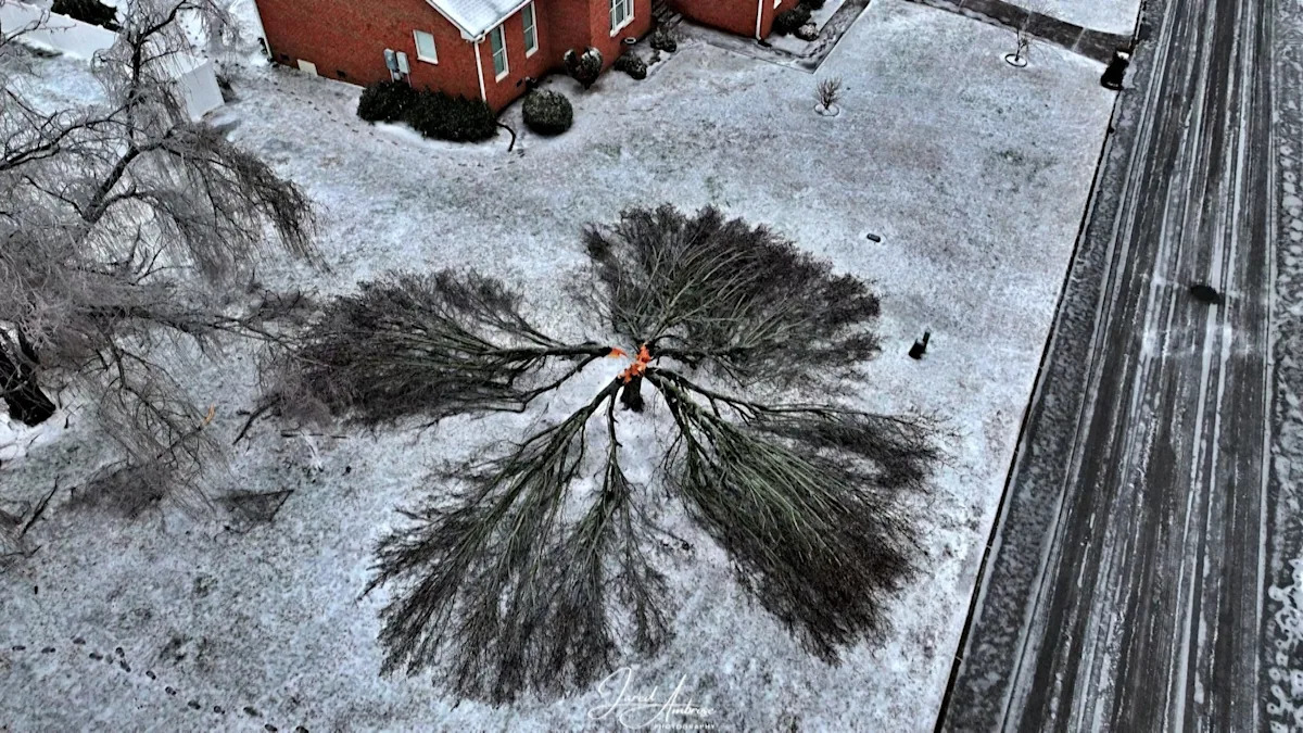 See drone footage of snow blanketing states from Texas to New York