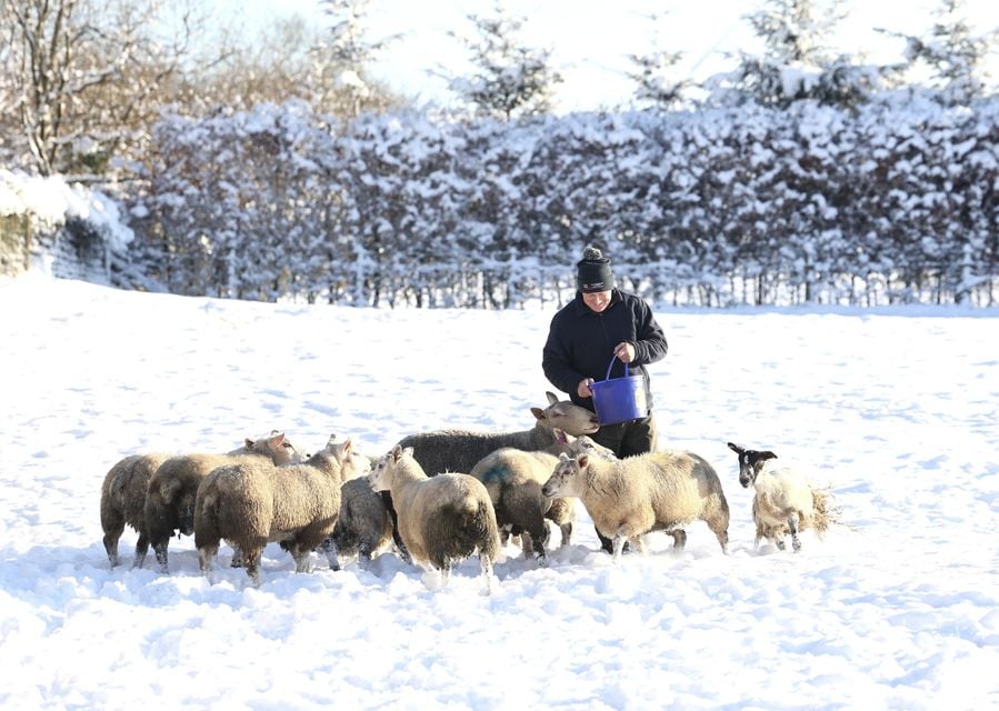 Snow on Divis and Black Mountain (Luke Jervis/Belfast Telegraph)