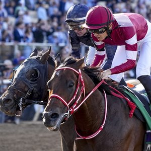 Forever Young posts highest-rated performance of 2025 – but Ka Ying Rising remains world #1 racehorse | Topics: Longines World's Best Racehorse Rankings, International Federation of Horseracing Authorities, TRC Global Rankings, HKJC, Calandagan, Ka Ying Rising, Japan Racing Association, Forever Young, IFHA, Hong Kong Jockey Club, JRA