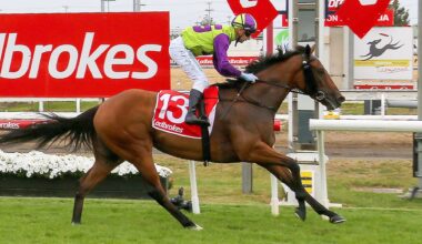 Geegees Mistruth, Oakleigh Plate, exotics