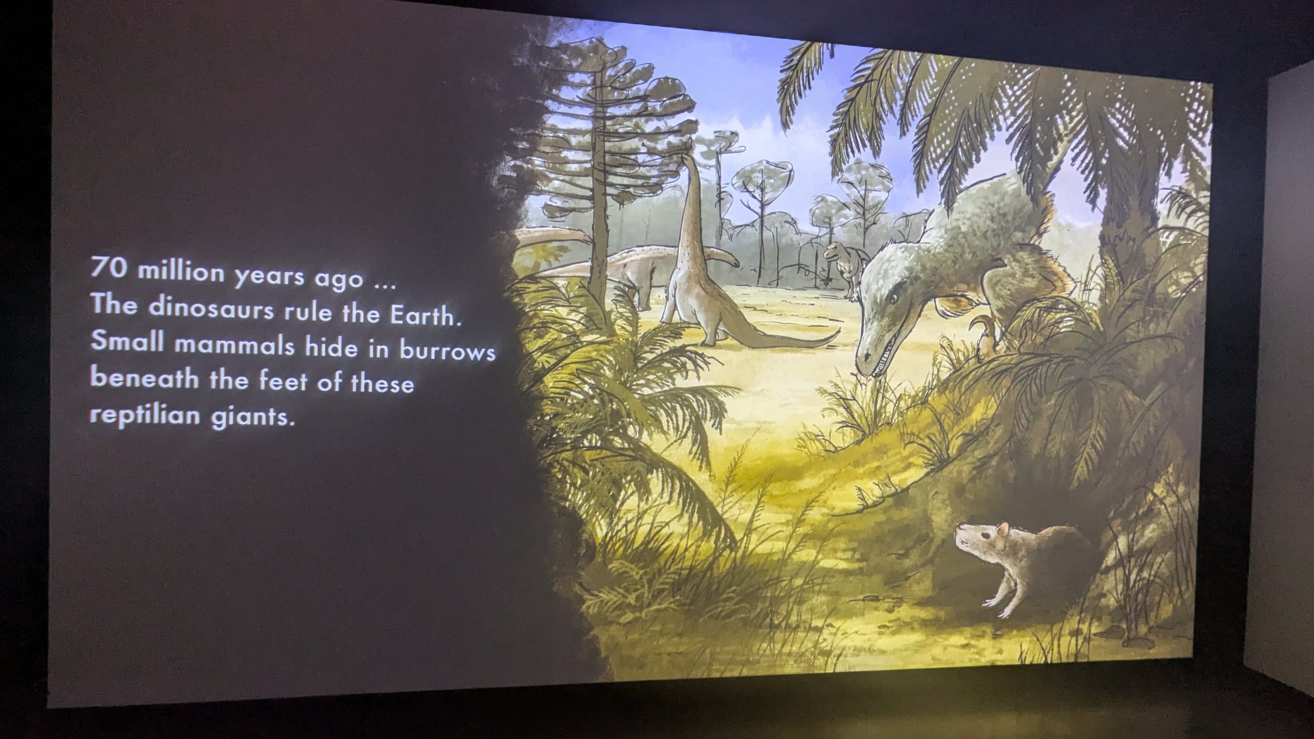 70 million years ago...