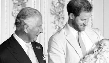 Prince Harry security protection reinstated: What it means for the Sussexes and the royal family