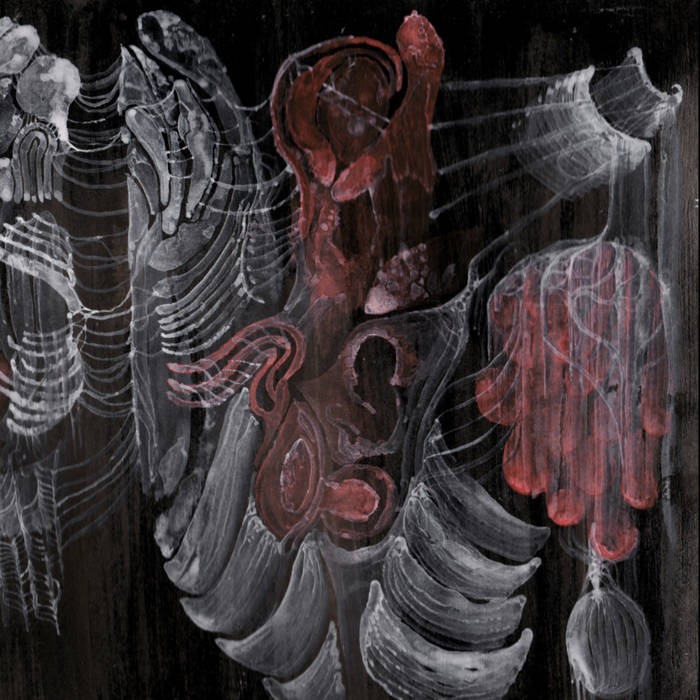 Missed Album Review: Strigiform - Aconite