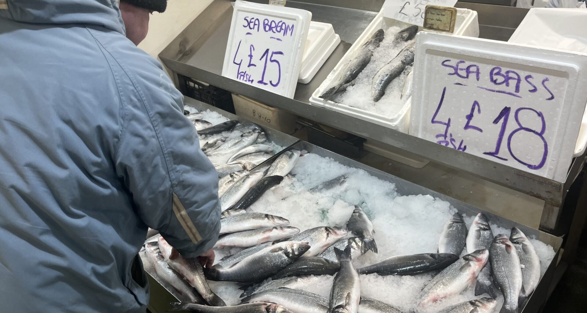 Seabass prices continue to rise in Spain, UK, as medium bream also lift