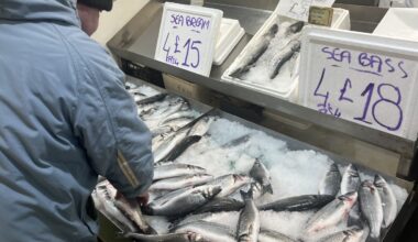 Seabass prices continue to rise in Spain, UK, as medium bream also lift