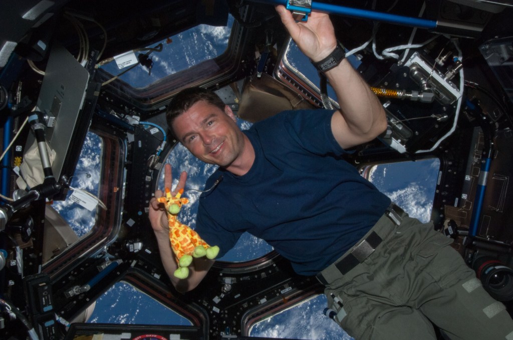 NASA Astronaut Reid Wiseman,Expedition 40 flight engineer,is photographed in front of the Cupola windows with a toy giraffe floating beside him.