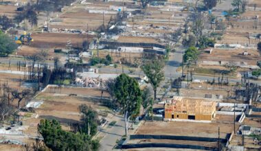 Architects concerned by disjointed LA wildfires rebuild