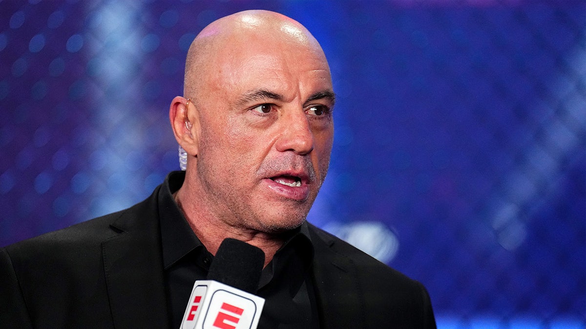 Joe Rogan speaks into a microphone while standing inside a packed arena during a UFC event.