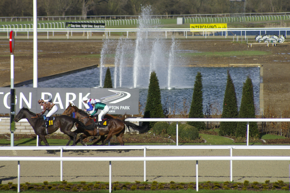 Horse Racing Tips Today | 21 January 2026