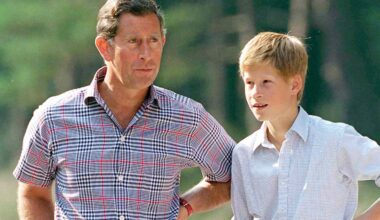 Prince Harry Makes Surprise Appearance in King Charles' New Documentary