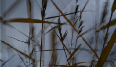 Why Photographers Confuse Creativity With Effects