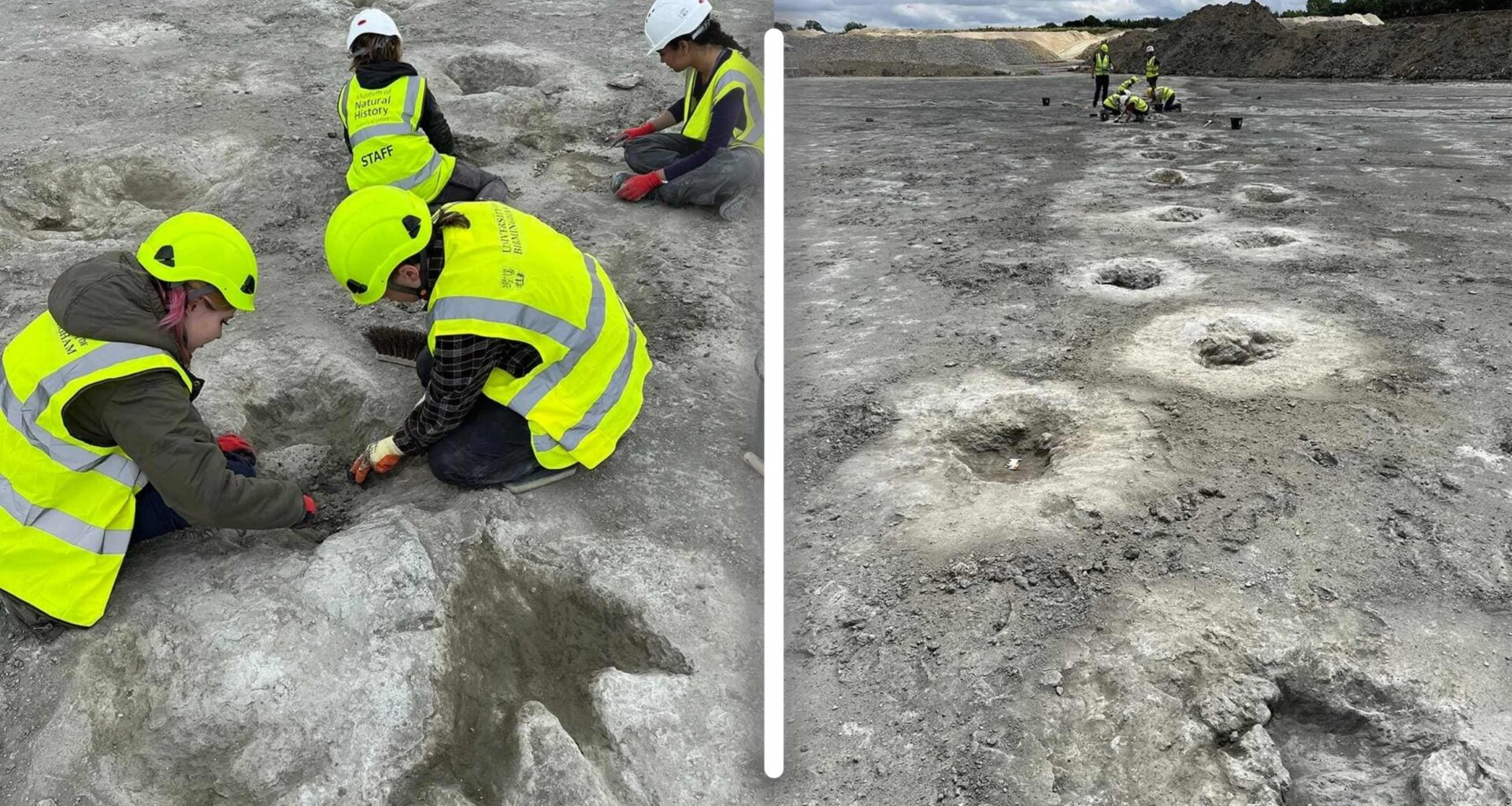 Largest dinosaur footprint site in the UK found by quarry worker