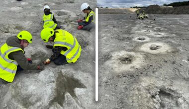 Largest dinosaur footprint site in the UK found by quarry worker