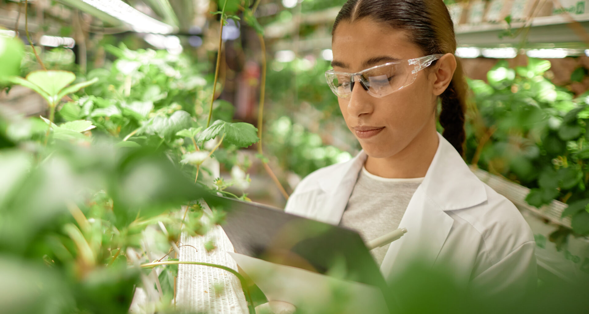 MHRA pro-innovation vision points to bright life sciences future for UK