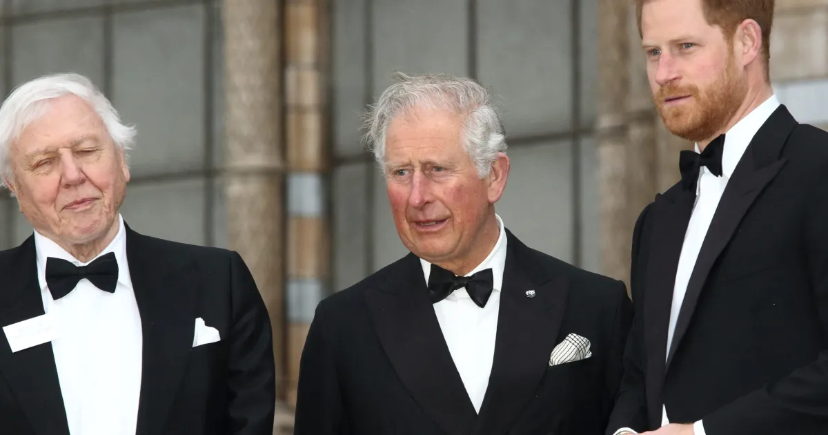 Prince Harry's Kids Are His Only Way To Reconcile With Charles | Gallery