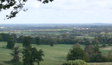 Microplastics detected in rural woodland