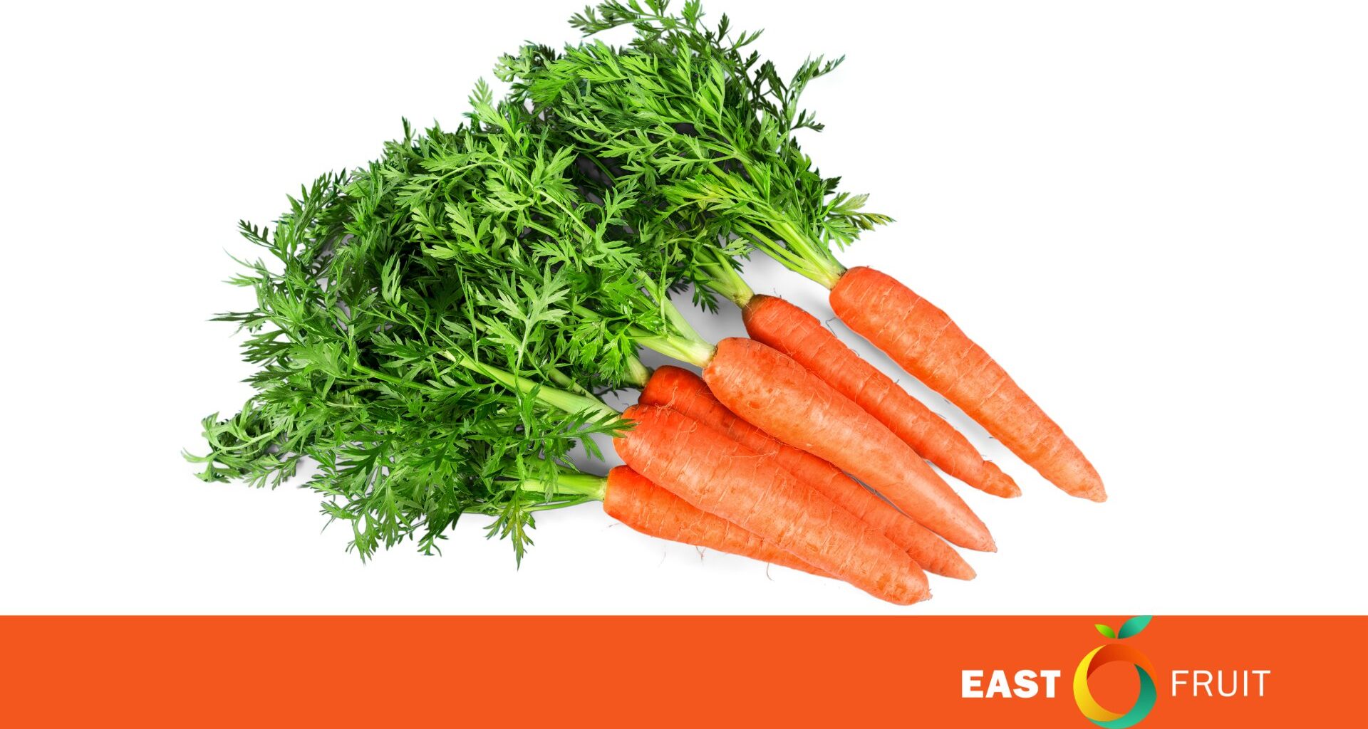 Carrot prices start to rise in Ukraine • EastFruit