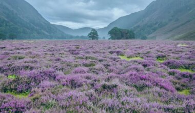 Must-visit Scots spots for 2026 from the 'new NC500' to Traitors inspired break