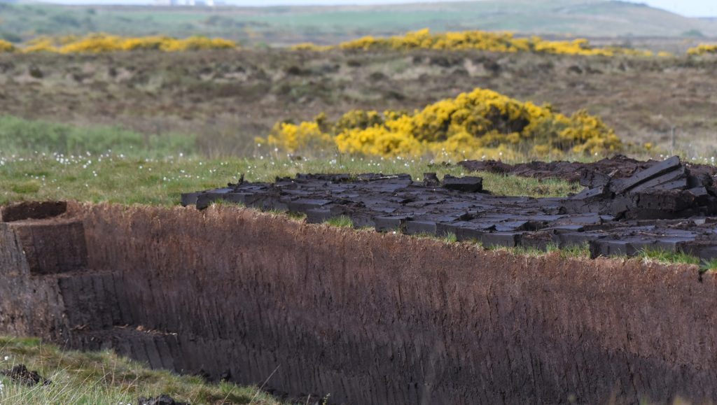 For peat's sake: how spirits firms are restoring Scotland's peatlands