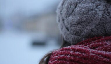 Arctic air: Back view of a person