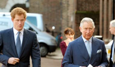 King Charles Response to Prince Harry Regaining Security