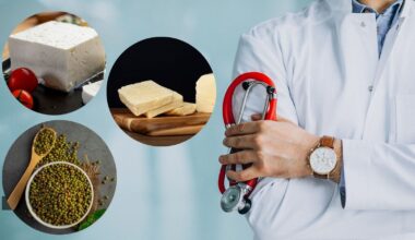 protein rich foods for gut health